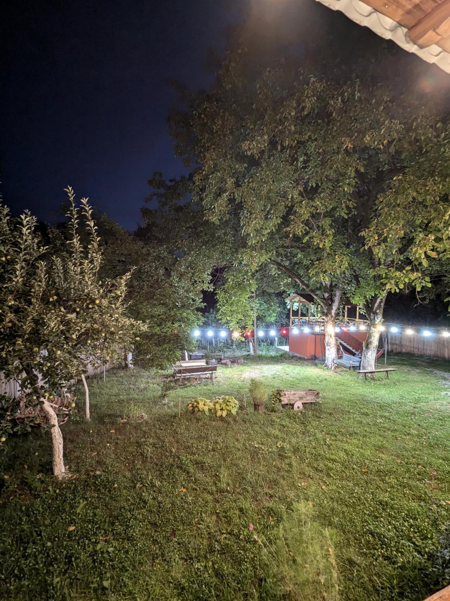 Kipiani Guest House Ყიფიანის Სახლი Khvanchkara Exteriér fotografie
